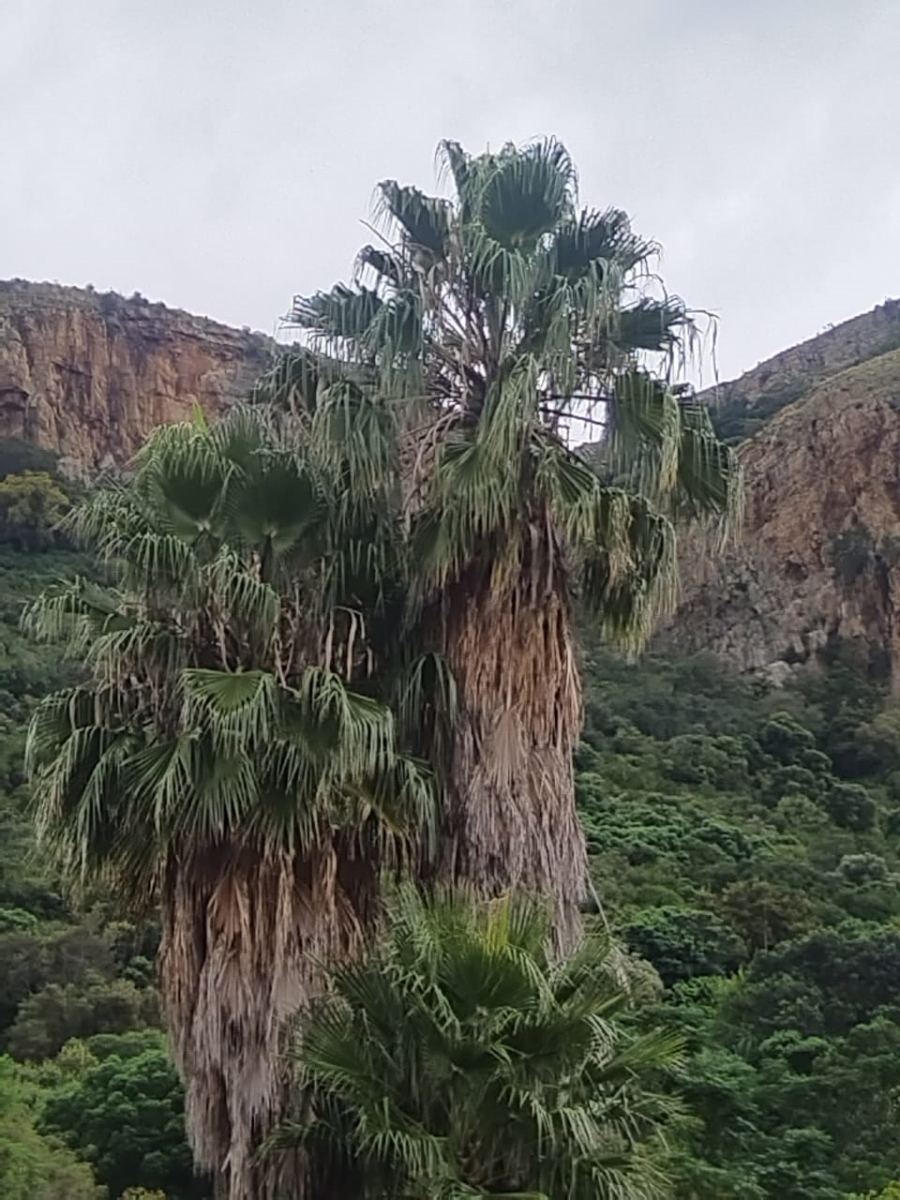 Commercial Property for Sale in Falcon View Estate North West